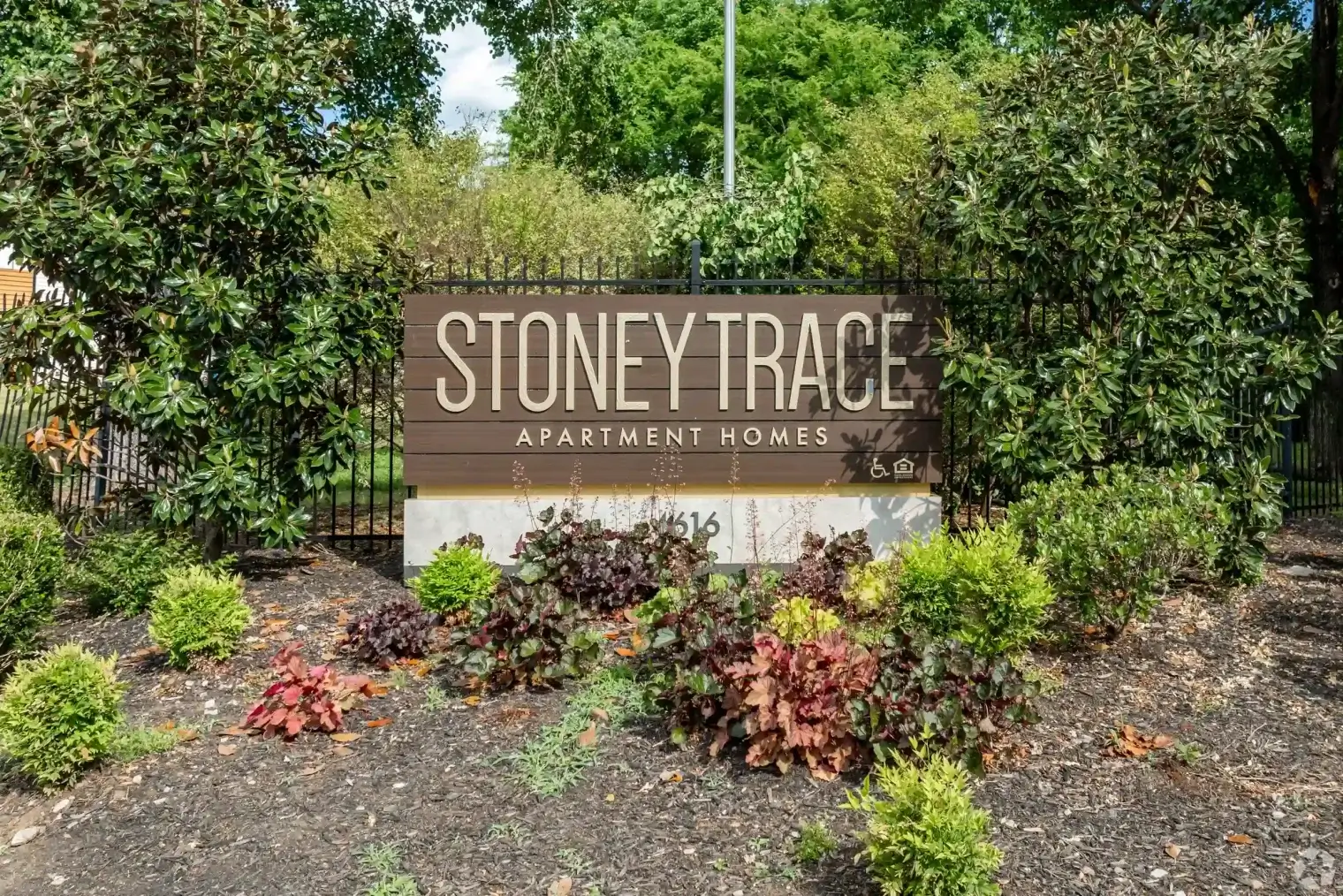 stoney-trace-1-